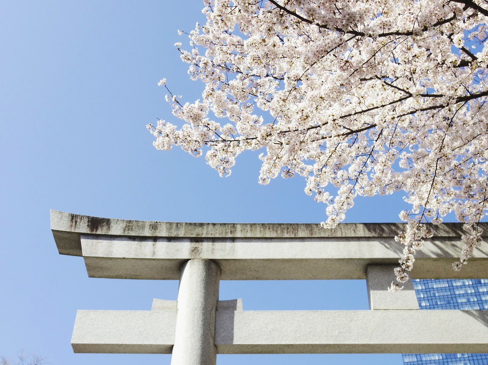 ⛩️ 구마노 신사 (주니소 구마노진자) 이미지 7